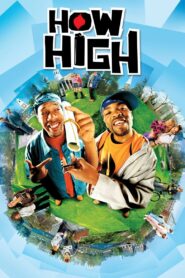 How High (2001) Hindi Dubbed